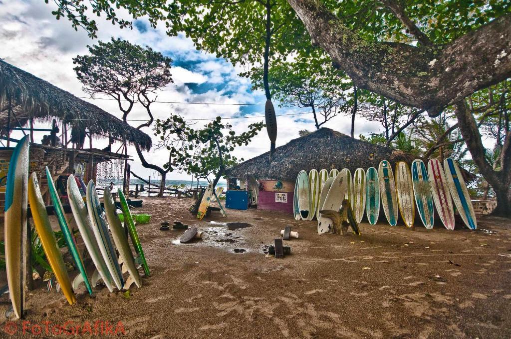 Cabarete Surf Camp Ξενοδοχείο Εξωτερικό φωτογραφία