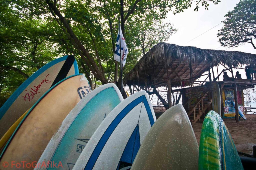Cabarete Surf Camp Ξενοδοχείο Εξωτερικό φωτογραφία